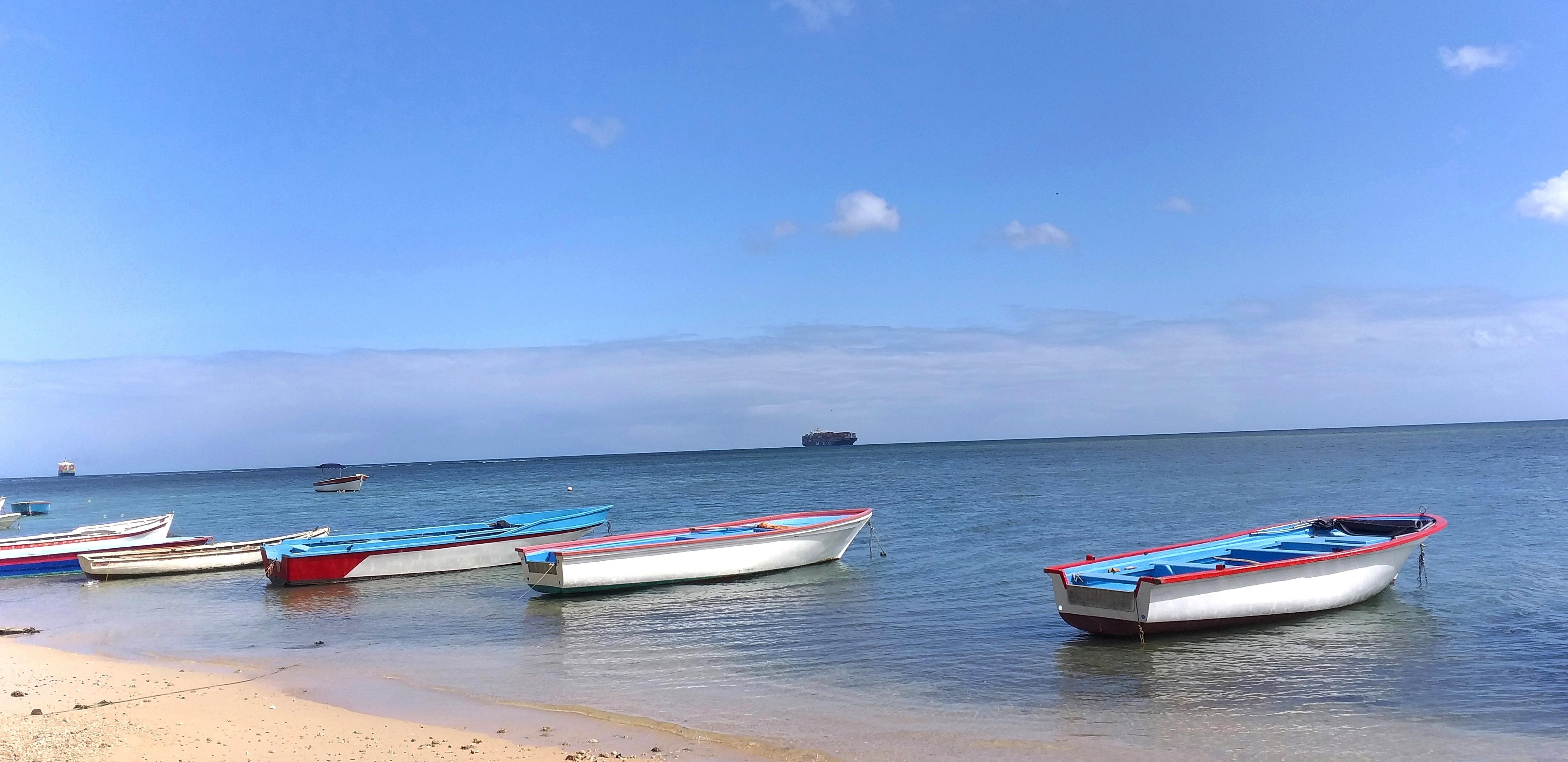 Cocotiers - Mauritius 2* Baie-du-Tombeau